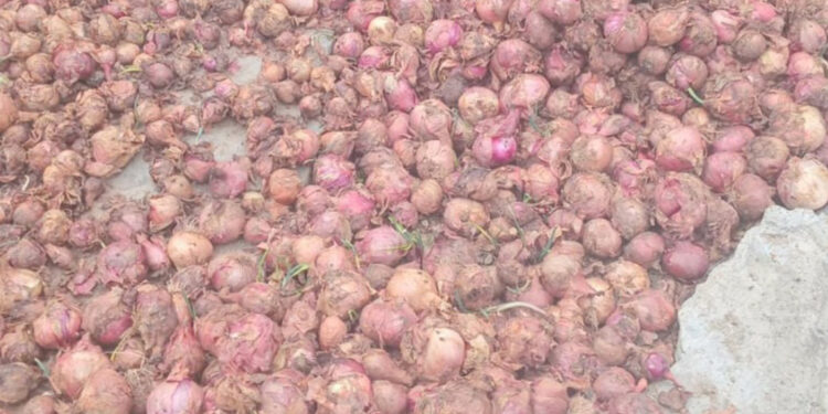 Productores de Ocoa reclaman pago de RD$100 millones