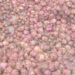 Productores de Ocoa reclaman pago de RD$100 millones