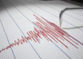 Sismo de magnitud 5.9 sacude Tokio y deja 12 heridos