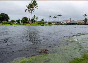Tormenta tropical Lala golpea Hawái con fuertes lluvias