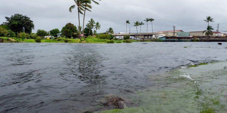 Tormenta tropical Lala golpea Hawái con fuertes lluvias