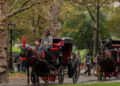 Nueva York prohíbe carruajes de caballos desde 2028