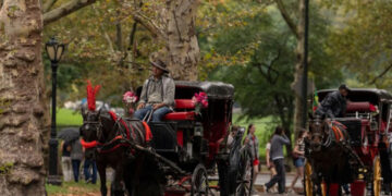 Nueva York prohíbe carruajes de caballos desde 2028